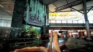 The Fairmont Vancouver Airport Hotel Tour [upl. by Yance]