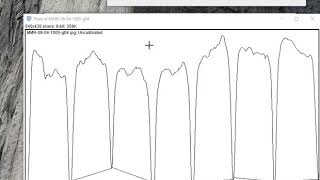 Merve Kizilkaya ImageJ Western Blot Analysis [upl. by Seroled]