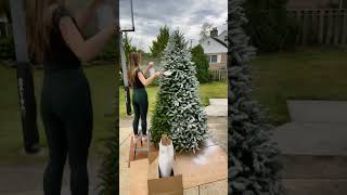 How to flock a Christmas tree with spray snow  How to set up Christmas tree christmastree short [upl. by Land]