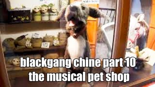 📽 blackgang chine  part 10  the musical pet shop [upl. by Holihs843]