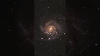 I captured an exploding star in the Pinwheel galaxy m101 supernova m101 pinwheelgalaxy space [upl. by Mohkos]