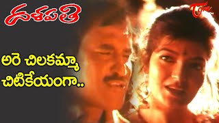 Chilakamma Chitikeyanga Song  Dalapathi Movie Songs  Rajinikanth Sonu Walia  Old Telugu Songs [upl. by Luing323]