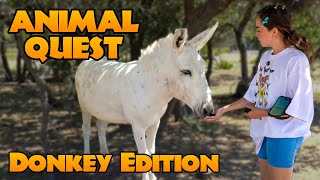 Animal Quest Donkey Edition [upl. by Elynad953]