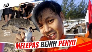 Pesona Pantai Tanjung Api  Melepas Benih Penyu di Ujung Negeri [upl. by Tatianna]