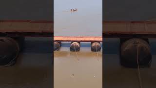 Pontoon Bridges Number In Prayagraj Mahakumbh 2025 prayagraj mahakumbh2025 ghumakkadprayagi [upl. by Lanti]