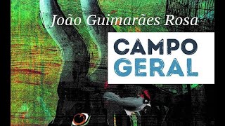 Campo Geral de Guimarães Rosa resumo análise e dicas [upl. by Sellig629]