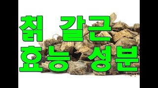 칡kudzu root 갈근의 한의학적 효능 [upl. by Anahc]