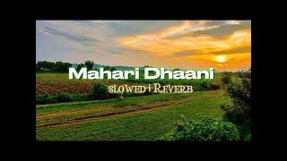 mahari dhaani main slowed reverb Haryanvi song [upl. by Humfried]