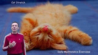 Cat Stretch Daily Exercise for Back Relief to Dance Pain Away [upl. by Yelac]