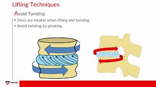 Traditional Manual Materials Handling Tasks [upl. by Adriane]