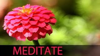 6 Hour Meditation Music Relax Mind Body Healing Music Calming Music Relaxing Music ☯039 [upl. by Doelling]