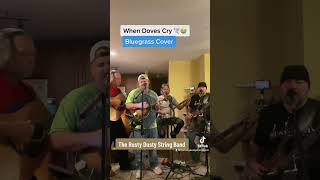 when doves cry prince bluegrass cover [upl. by Aneleiram]