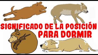 Lo que la posición para dormir de tu perro revela sobre su personalidad salud y carácter [upl. by Dysart]