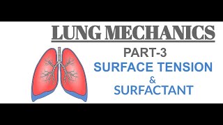 LUNG MECHANICS  PART3  Surface Tension amp Surfactant  HINDI [upl. by Einotna777]