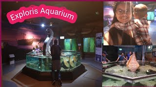 Exploris Aquarium [upl. by Mandie168]