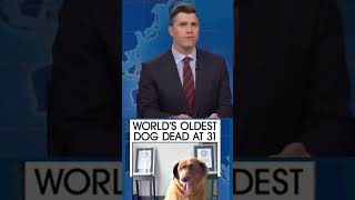 Worlds Oldest Dog 🐕 funnyshorts [upl. by Milicent]