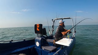 Smoothhound and Tope  Sea Fishing Uk  Small Boat Fishing  Whaly 435 [upl. by Littlejohn]