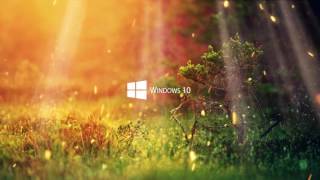 Nature Windows 10 FHD 1080p Wallpaper Engine [upl. by Ellynn]