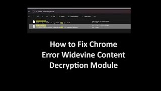 How to Fix Chrome Error Widevine Content Decryption Module [upl. by Diamante]