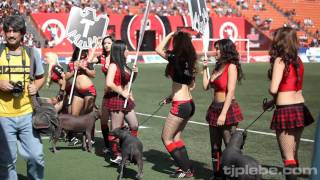 Edecanes Xolos vs Merida  Estadio Caliente Tijuana HD [upl. by Ainimreh]