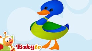 Duck  Animal Sounds and Names for Kids amp Toddlers  BabyTV [upl. by Dodwell]