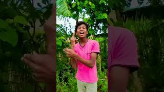 aare bachapan bital nadani me rangadari karb javani me new sorts vayralshorts viralvideo [upl. by Enomrej]