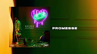 DADJU  Promesse Audio Officiel [upl. by Macmahon318]