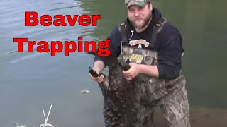 Beaver Trapping in Iowa [upl. by Addiego]