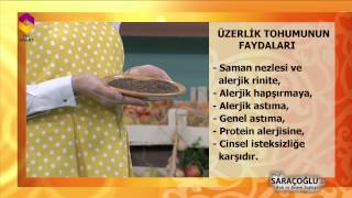 TIBBİ BİTKİLER ÜZERLİK TOHUMUNUN FAYDALARI [upl. by Horton63]