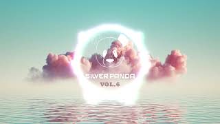 Silver Panda Melodic Sessions  Vol 6 [upl. by Maiga]