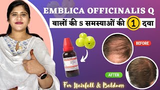 One Homeopathic medicine for 5 Hair Problems  आँवला से बनी दवा  Emblica Officinalis Q [upl. by Nyloj]