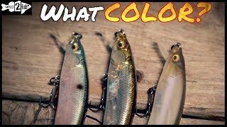 3 Jerkbait Color Selection Guidelines That Produce [upl. by Giarc]