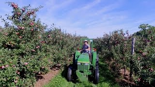 Comment produiton les bonnes pommes au Québec [upl. by Brigitta]