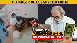 Ce chercheur Américain sest converti à lIslam après avoir analysé la salive des chiens [upl. by Toinette]