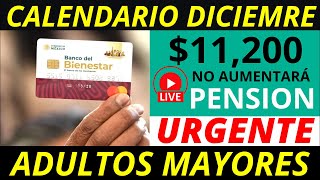 No aumentará la pensión 2025 Y calendario diciembre pago de 11 mil 200 💰✅ [upl. by Maddeu705]