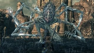 Bloodborne Amygdala Boss Fight 1080p [upl. by Oijimer]