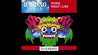 Moksi  What I Like DJ Q Remix [upl. by Sew]