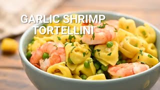 How to Make Garlic Shrimp Tortellini [upl. by Ingeborg]