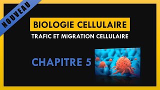 Trafic et migration cellulaire  Chapitre 5 [upl. by Nertie589]