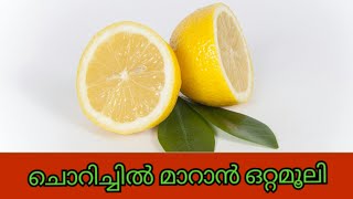 ചൊറിച്ചിൽ മാറാൻ ഒരു ഒറ്റമൂലി chorichhil maran [upl. by Marlee]