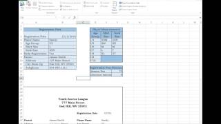 Enabling the Developer Tab in Excel [upl. by Nnaoj168]