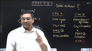 Link between Urea cycle and Pyrimidine NT synthesis  CPS 1 and 2 Orotic aciduria in Type 2 UCD [upl. by Villada316]