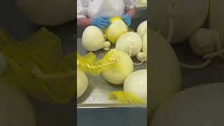 our caciocavallo production today cheesemaking cheeseproduction [upl. by Monie955]