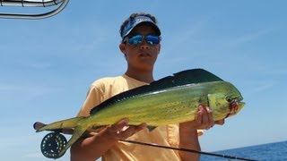 Fly Fishing for Mahi Mahi or Dolphin [upl. by Eriha]