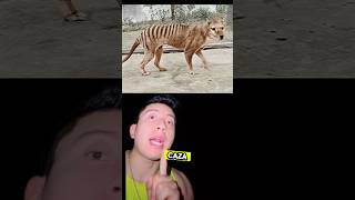 ANIMALES EXTINTOS QUE NO SABÍAS😱🤯🐼🐹🦆short sabiasque curiosidades datos animals viral [upl. by Reppart799]