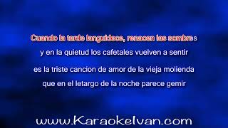 Jose Luis Rodriguez  Moliendo cafe KARAOKE [upl. by Miun]