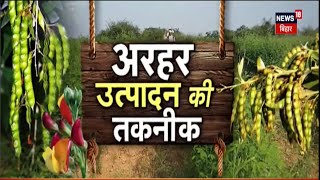 Arhar Ki Kheti  अरहर में लगने वाले कीट और रोगों का नियंत्रण  Agriculture News  Annadata  Farming [upl. by Egni]