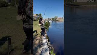 Crevalle jack catch omg saltwaterfish fishing puntagorda [upl. by Ha]