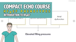 〖Echocardiography〗 Diastolic dysfunction amp HFpEF  Introduction 💘 [upl. by Berstine]