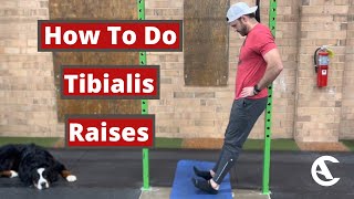 Tibialis Raises [upl. by Aletha402]